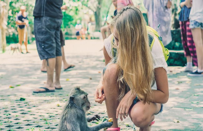 Ubud Nature and Culture: Monkey Forest, Tegalalang Rice Terraces and more – Full-Day Tour - Photo 6